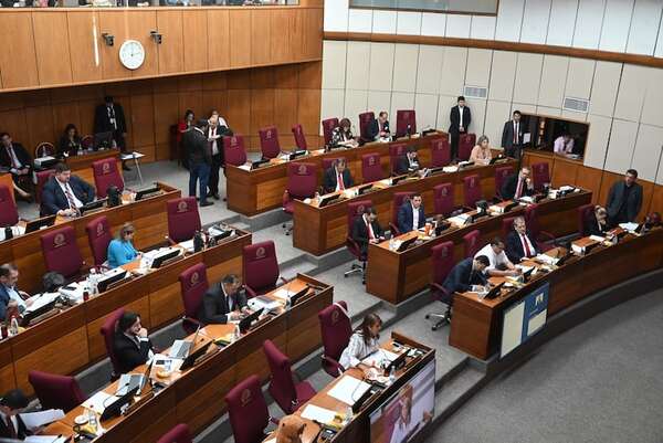 Senado rechaza por inviable la ley “antipolladas” - Política - ABC Color