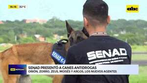 Senad presentó nuevos canes antidrogas: Orión, Zorro, Zeus, Moisés y Argos llegaron desde Chile - ABC Noticias - ABC Color