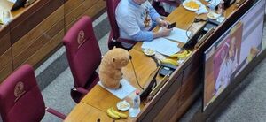 Tras metida de pata, el senador Eduardo Nakayama pide disculpas a los pilarenses
