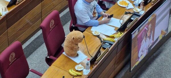 Tras metida de pata, el senador Eduardo Nakayama pide disculpas a los pilarenses