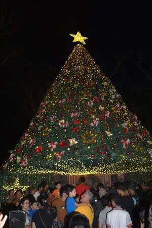 El árbol de Navidad más grande de Central en Villa Elisa - Nacionales - ABC Color