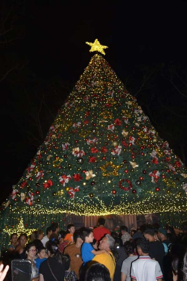 El árbol de Navidad más grande de Central en Villa Elisa - Nacionales - ABC Color