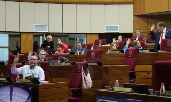 Senado rechaza proyectos que crea el Ministerio de Energía, Minas e Hidrocarburos