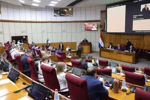 Senado aprueba proyecto que insta a dejar el “tavycismo” en los tres poderes del Estado - Política - ABC Color