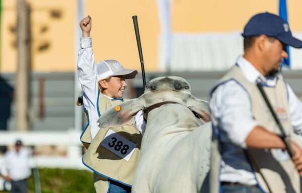 Paraguay brilla: vacas Brangus, Brahman y Santa Gertrudis en el top 3 de Sudamérica
