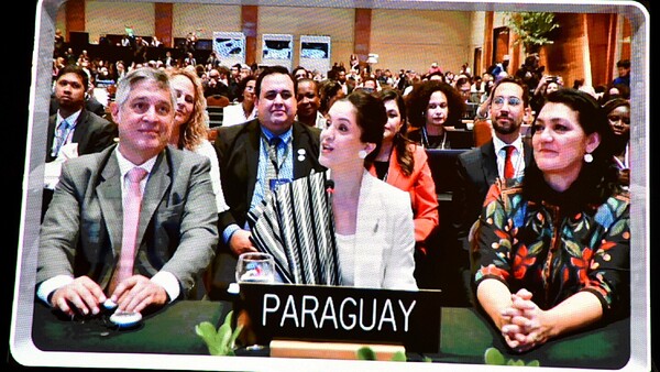 Comunidad cultural celebra estatus de la guarania