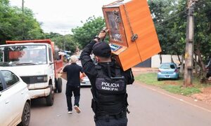 Decomisan tragamonedas sin habilitación municipal