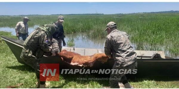 DETENCIÓN E INCAUTACIÓN DE EVIDENCIAS EN SAN COSME Y DAMIÁN EN INVESTIGACIÓN POR ABIGEATO - Itapúa Noticias