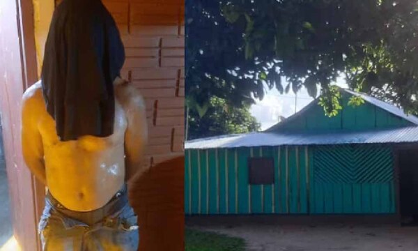 Hombre iracundo mata a las mascotas de su cuñada tras violenta discusión – Prensa 5