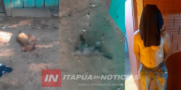 HOMBRE IRRUMPIÓ EN CASA DE SU EX CUÑADA Y MATÓ A MACHETAZOS A DOS MASCOTAS - Itapúa Noticias