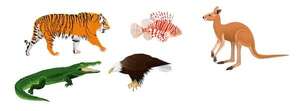 Animales según su forma de locomoción - Medio Natural y Salud Primer Ciclo - ABC Color