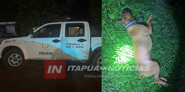 ENVENENARON A UN PERRO PARA ROBAR UNA MOTOCICLETA EN JOSÉ L. OVIEDO - Itapúa Noticias
