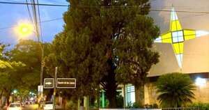 La Nación / Encendido de árbol navideño en el Barrio Sajonia
