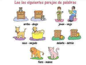 Los antónimos graduales, complementarios y recíprocos - Lengua y Literatura Castellana Tercer Ciclo - ABC Color