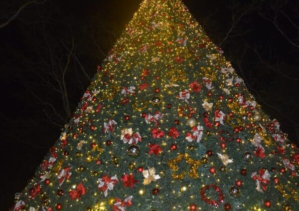 Colorido y emotivo encendido de luces del árbol de Navidad más grande de Central