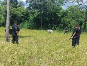 Tras denuncia, recuperan dos animales vacunos en Carapeguá - Policiales - ABC Color