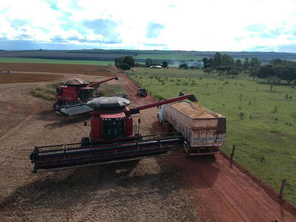 Brasil anuncia plan de inversiones para desarrollo de la agroindustria