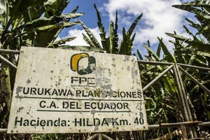 Ecuador condena a empresa japonesa por "esclavitud moderna" - 1000 Noticias