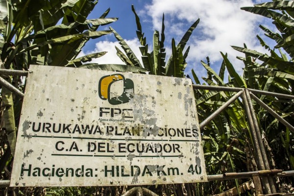 Ecuador condena a empresa japonesa por "esclavitud moderna" - 1000 Noticias