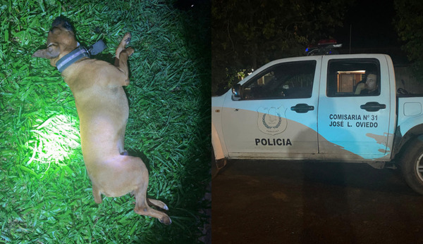 José L. Oviedo: Matan a un perro para robar una moto