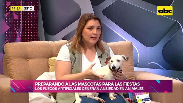 Preparando a mi mascota para las fiestas: los fuegos artificiales, un desafío para su tranquilidad - Ensiestados - ABC Color
