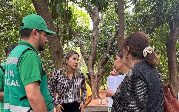 Fiscalía investiga supuesto acto de tala de árboles en propiedad de la Cajubi