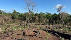 Senad realiza importante operativo contra el narcotráfico en Bella Vista Norte”