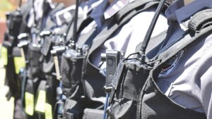 Los PMT de Pilar ya tienen sus camaritas “anticoima”