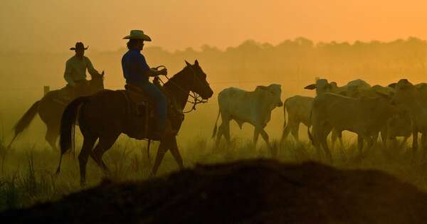 La Nación / Cómo impactará el acuerdo UE-Mercosur en la agricultura europea