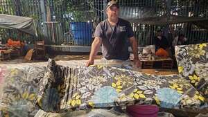 Aumentaron las ventas en Caacupé: estos son los productos con mayor demanda - Nacionales - ABC Color