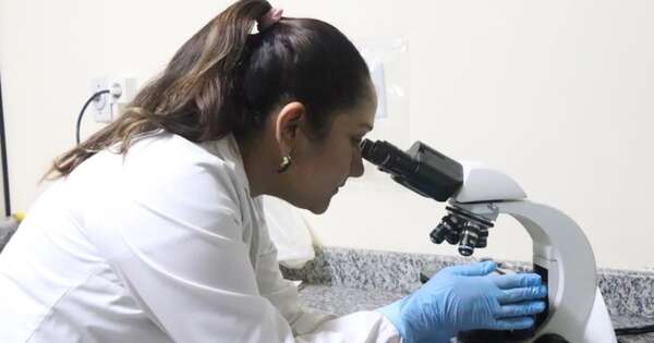 La Nación / Lanzan llamado para proyectos de investigación