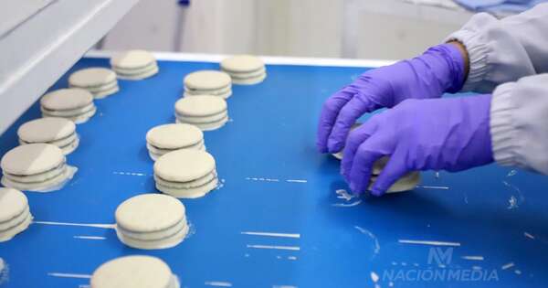 La Nación / Producción de alfajores: un sector en auge que mueve USD 11 millones
