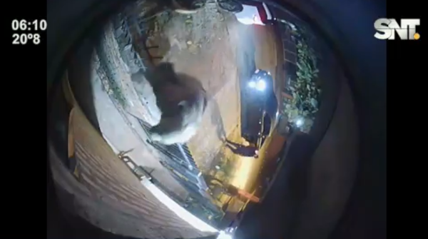 Asalto con toma de rehén en San Lorenzo - SNT