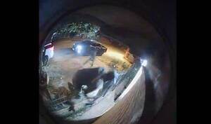 Tilingos entraron a una casa mientras dueños dormían, los raptaron pero erraron y comieron hule