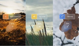 Google presenta GenCast, IA para predicción meteorológica avanzada