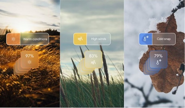 Google presenta GenCast, IA para predicción meteorológica avanzada