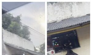 (Video) Vaca se hace viral por comer pan desde la ventana de una despensa