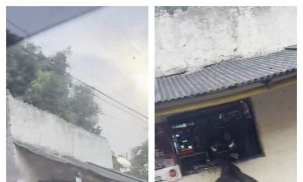 (Video) Vaca se hace viral por comer pan desde la ventana de una despensa