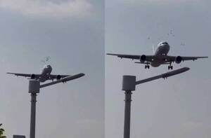 [VIDEO] ¡Hija de mil! Avión que aterrizaba hizo “volar” a unos cuantos pájaros que explotaron como pororó