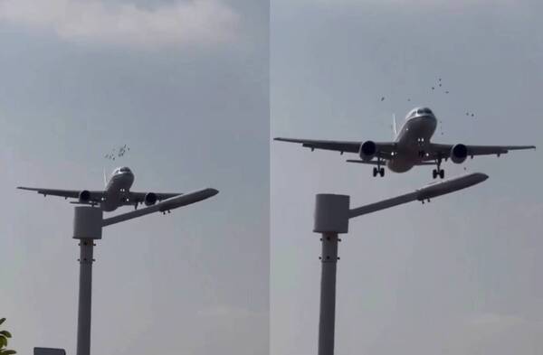 [VIDEO] ¡Hija de mil! Avión que aterrizaba hizo “volar” a unos cuantos pájaros que explotaron como pororó