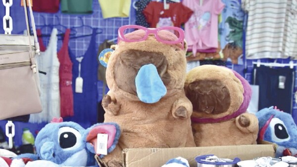 Furor por carpinchos: Arrasó la venta de peluches en Caacupé