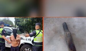 Hijo infeliz reventó la cabeza de su mamá con un avati soka