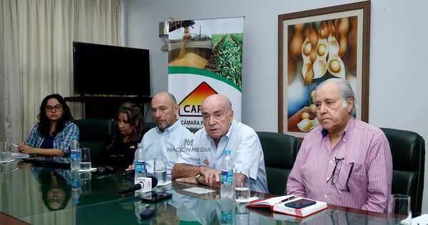 La Nación / Según Capeco, el 2024 fue un año excelente para la producción de cultivos de verano