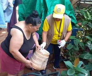 Dengue: advierten de posibles brotes desde enero; ya hay unos 1.000 casos sospechosos por semana - Nacionales - ABC Color