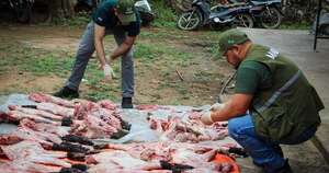 Diario HOY | Detienen a cazadores ilegales con partes de animales silvestres en Benjamín Aceval
