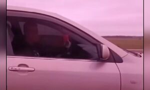 (VIDEO)Fiscal fue apuntada con un arma mientras viajaba en su vehículo