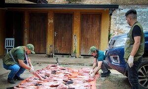 Caen detenidos cazados de animales silvestres y hallan importantes restos de tañy katî
