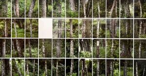 Apertura de la muestra “Foto movida” en el Museo del Barro