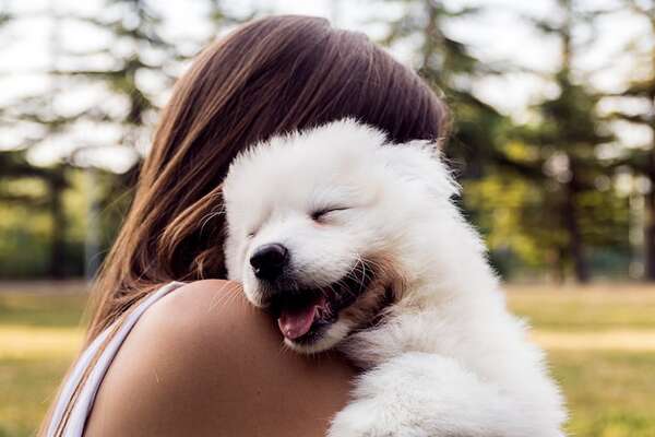 Día Internacional de los Derechos de los Animales: cuándo es y qué se celebra - Mascotas - ABC Color