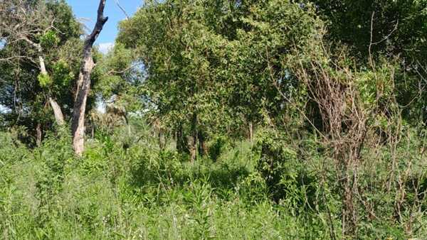 Hallan cadáver y no se descarta que se trate de la mujer desaparecida la semana pasada